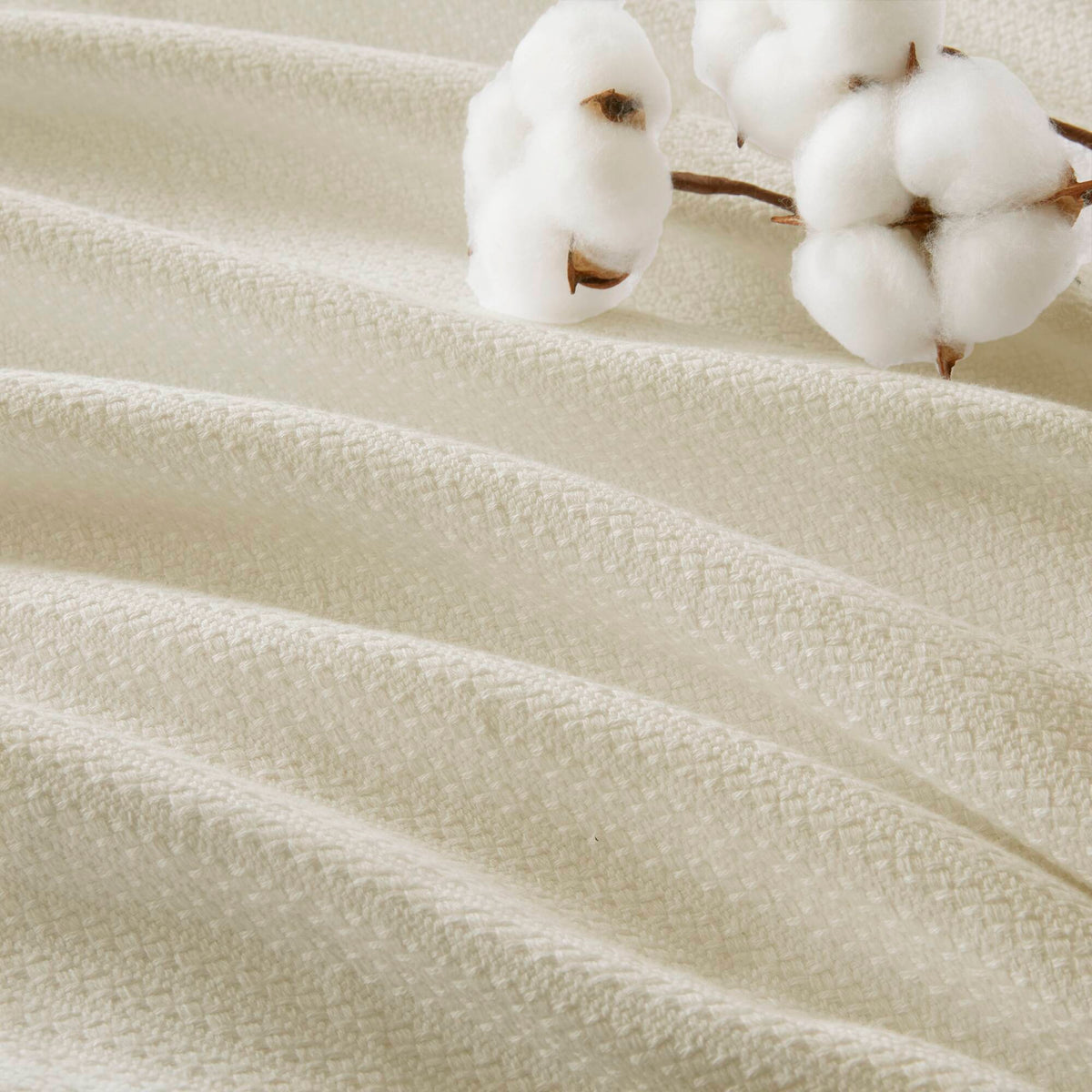 Liquid Cotton - King Blanket - Ivory