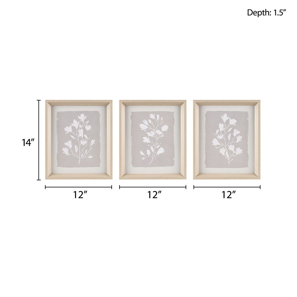 Fair Florets - Printed Framed Graphic (Set of 3) - Beige