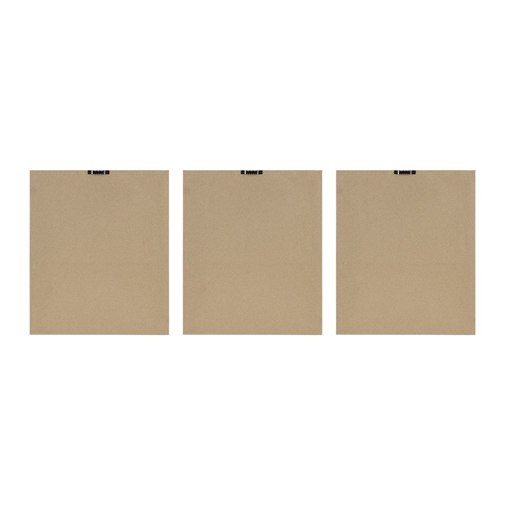 Fair Florets - Printed Framed Graphic (Set of 3) - Beige