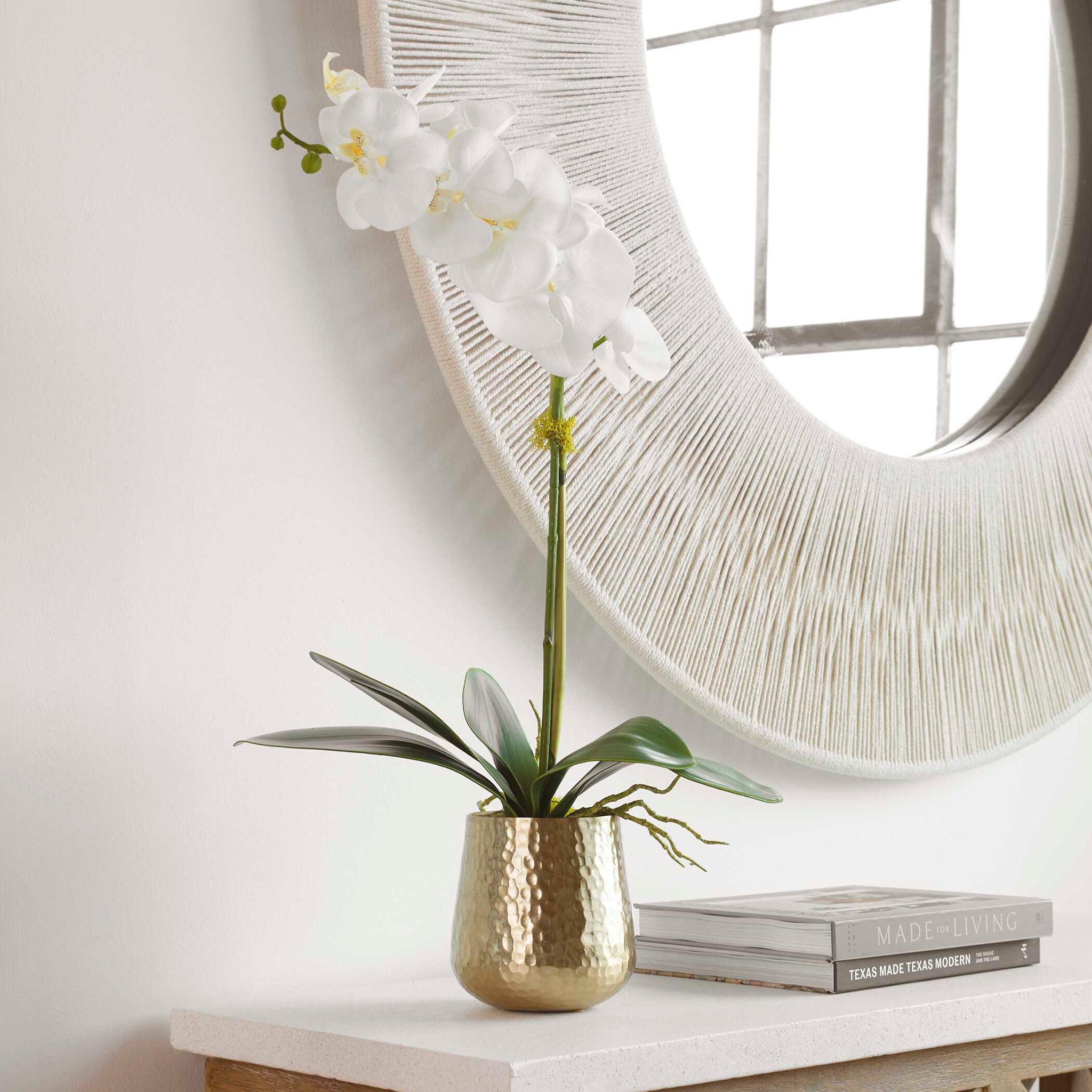 Cami - Orchid With Brass Pot - White