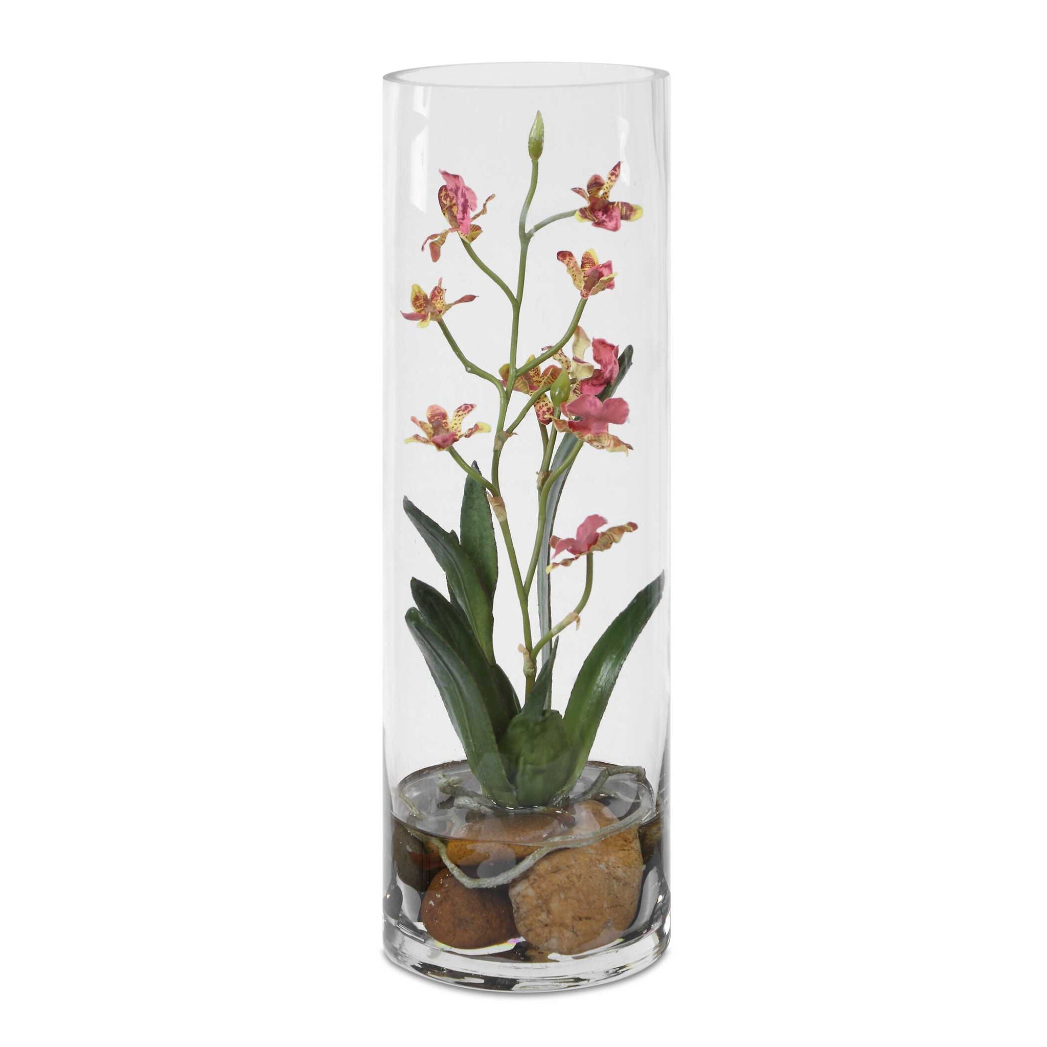 Mariposa - Orchid - Pink