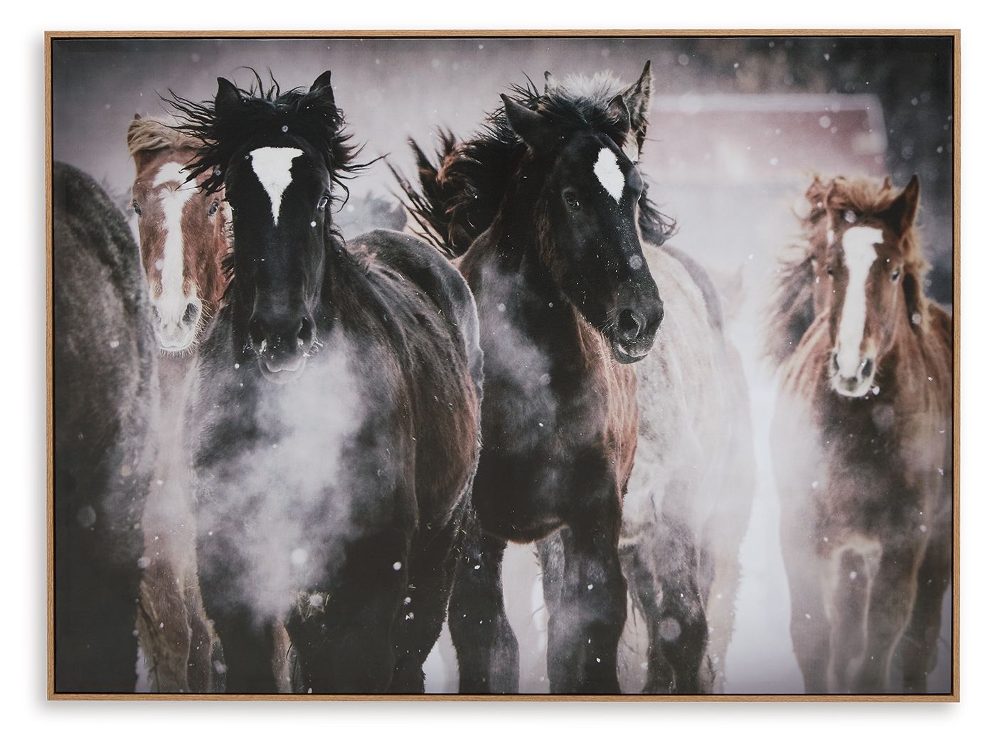 Chaseburn - Wall Art - Brown / Black / White