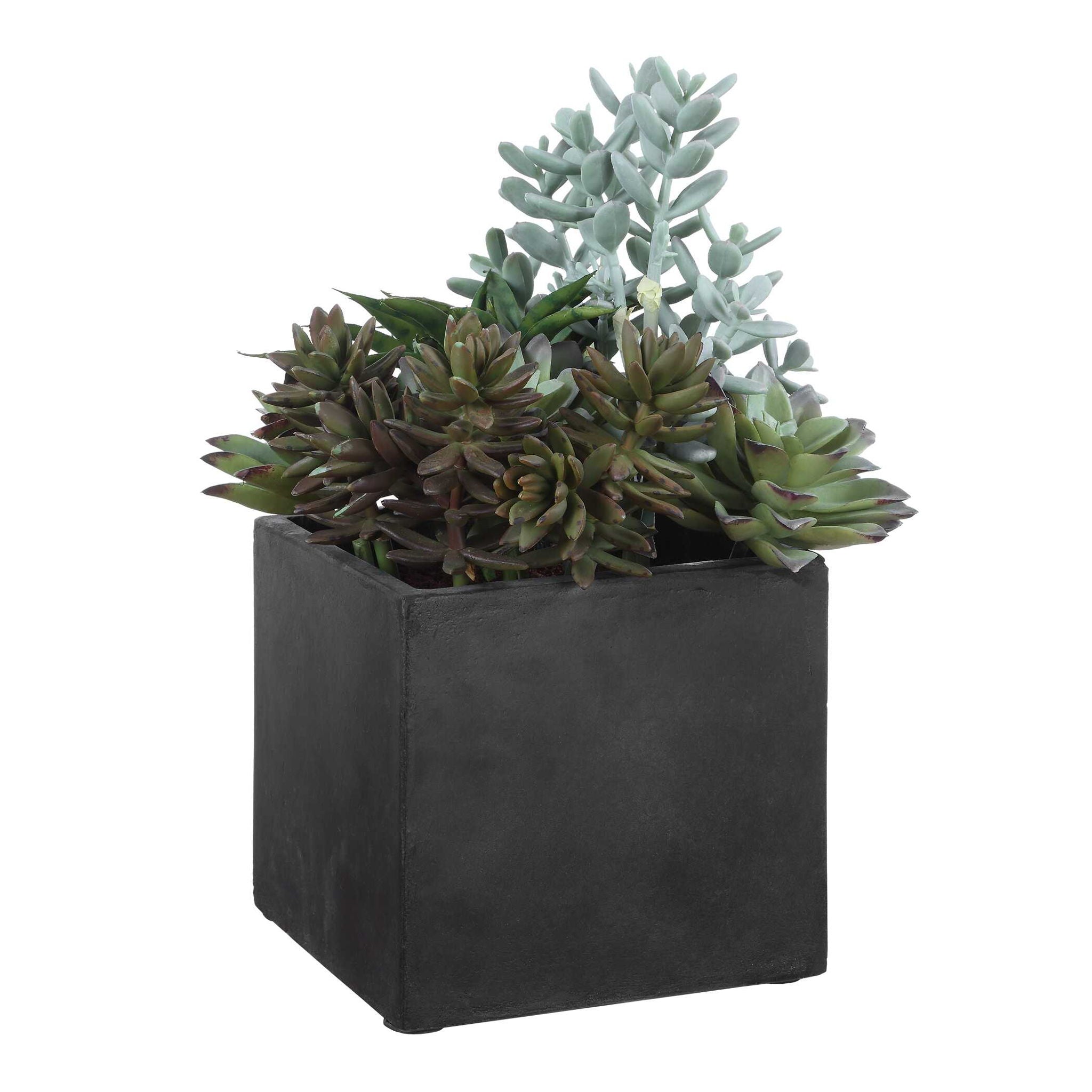 Greystone - Indoor-Outdoor Succulent - Green