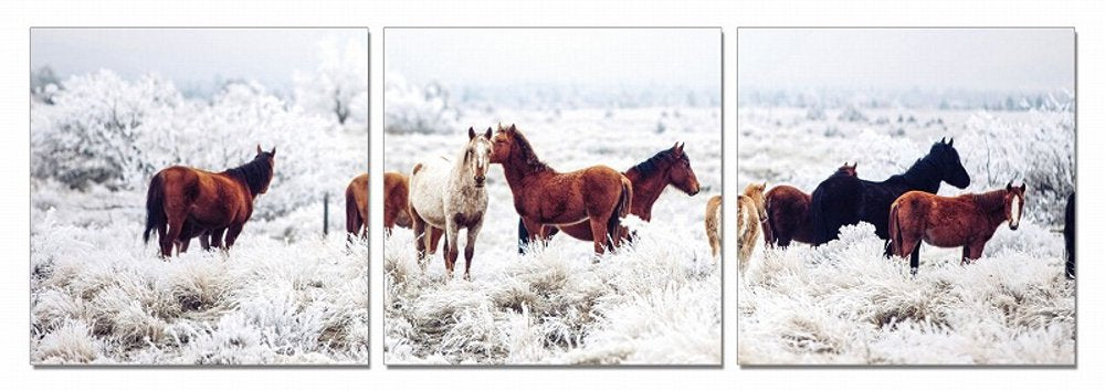 Set of Three White Canvas Square Framed Art