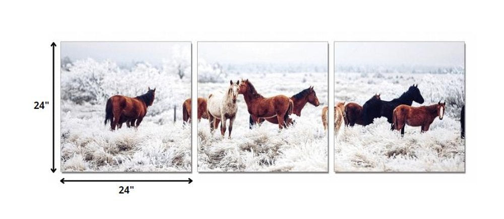 Set of Three White Canvas Square Framed Art
