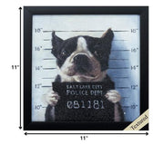 11" X 11" Black Frame Mug Shot