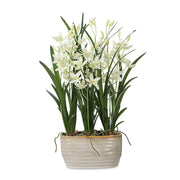 Ariana Orchid - Planter - Gray