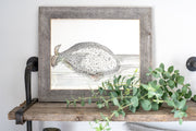 16" x 20" Gray Solid Wood Hanging Picture Frame