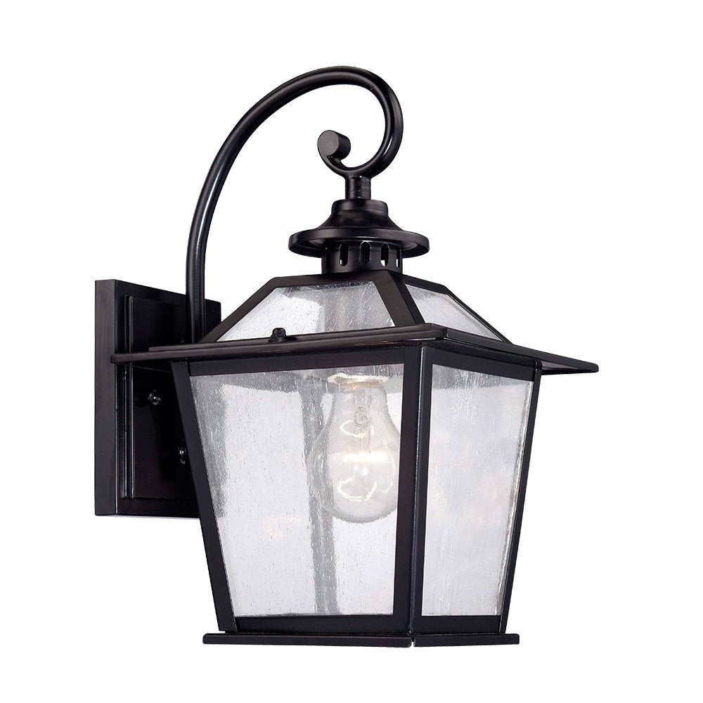 Matte Black Terrarium Shape Wall Light