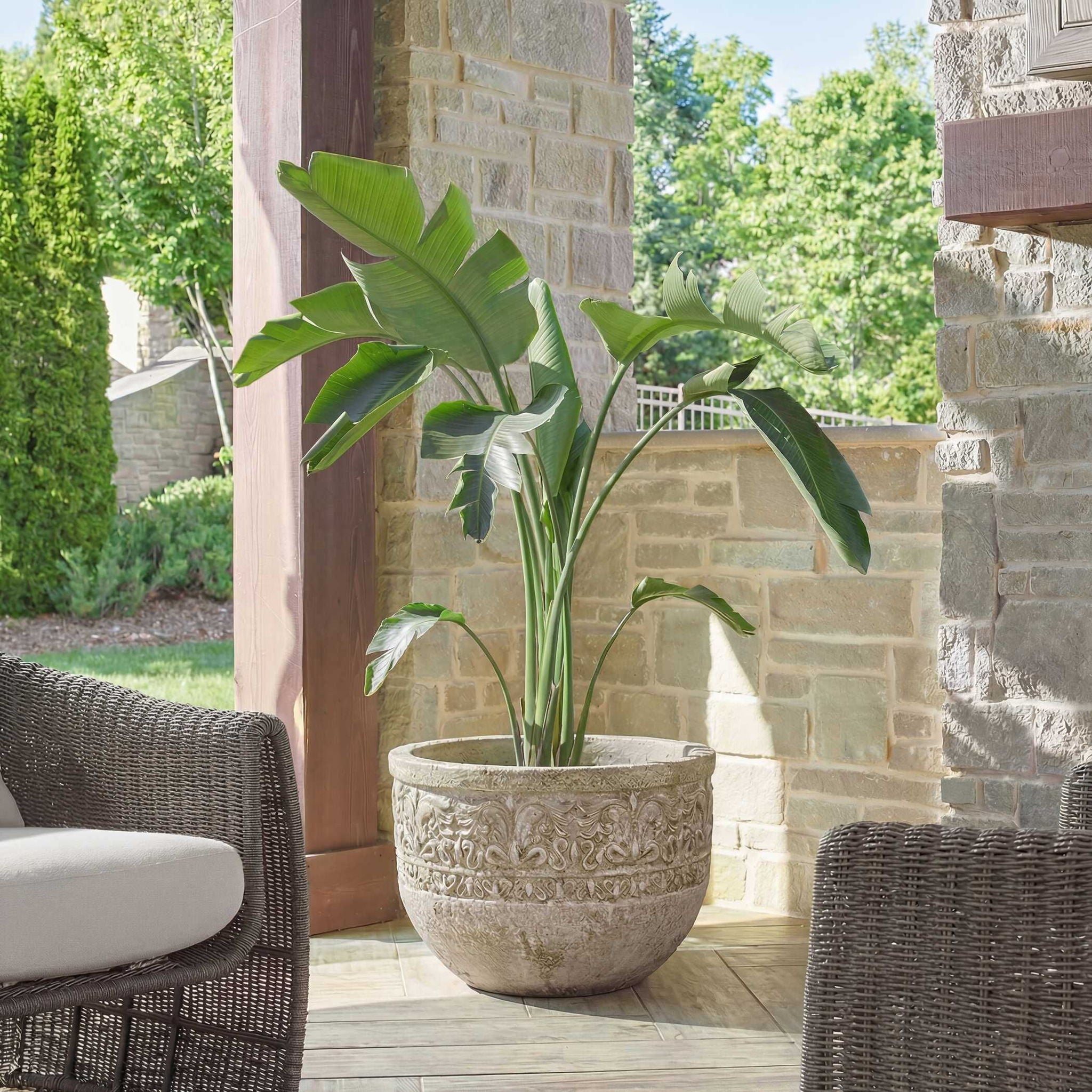 Regalia - Indoor-Outdoor Stone Planter - Brown