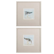 Set of Two Sandpipers Watercolor Wall Art