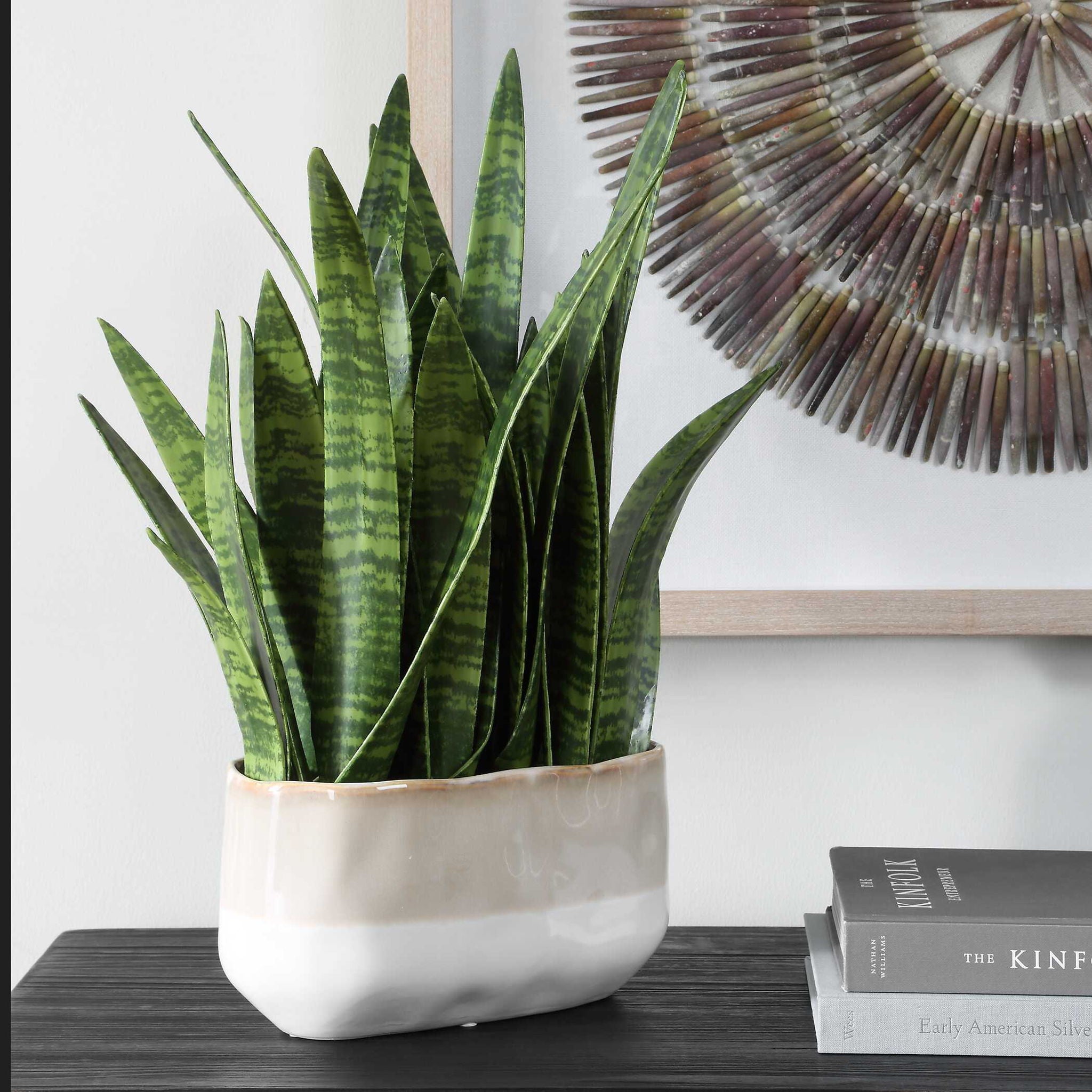 Sansera Snake - Accent Plant - Green