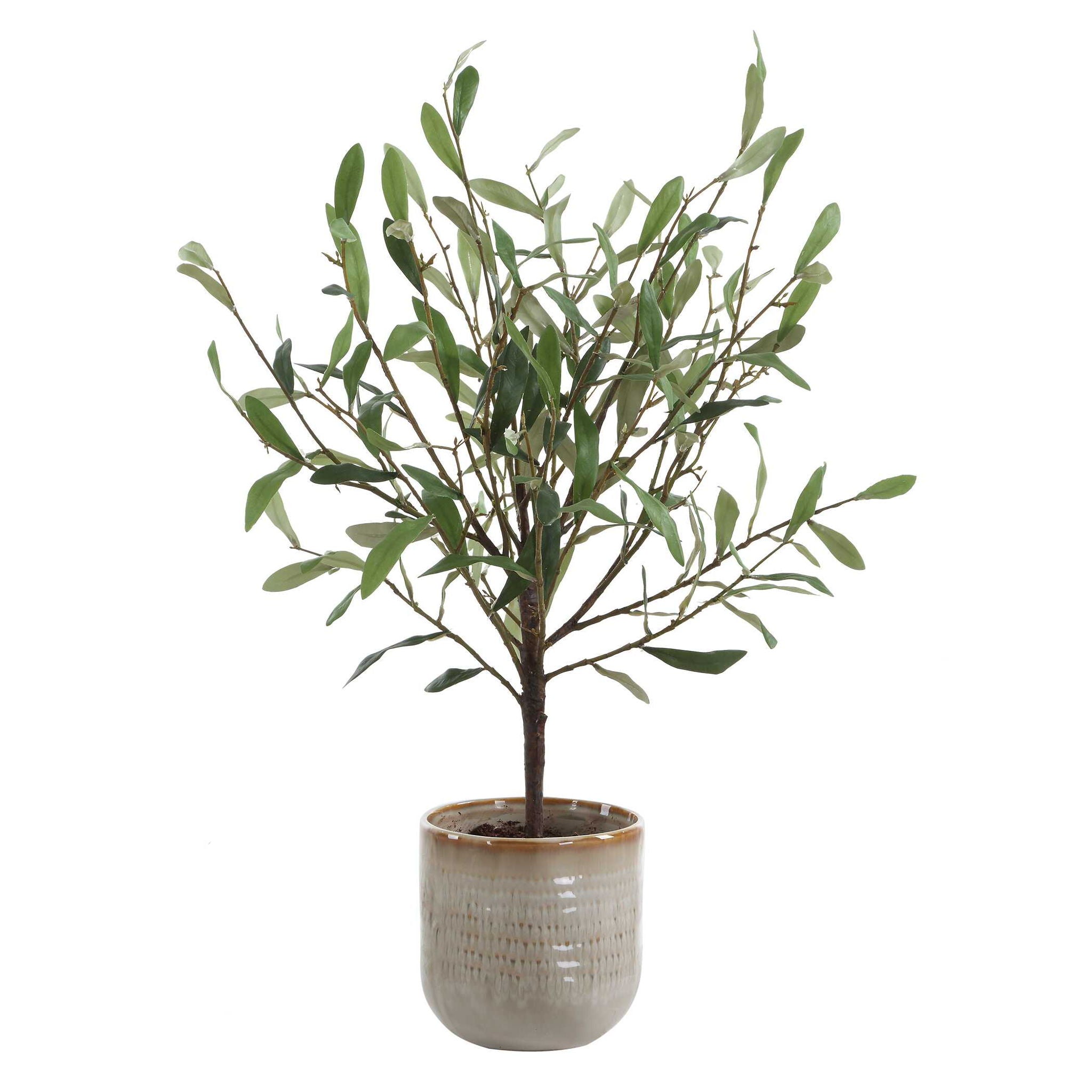 Solea Olive - Accent & Textured Vase - Brown / Green