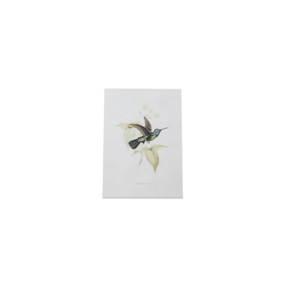 Set of Four White Hummingbird Wood Framed Art