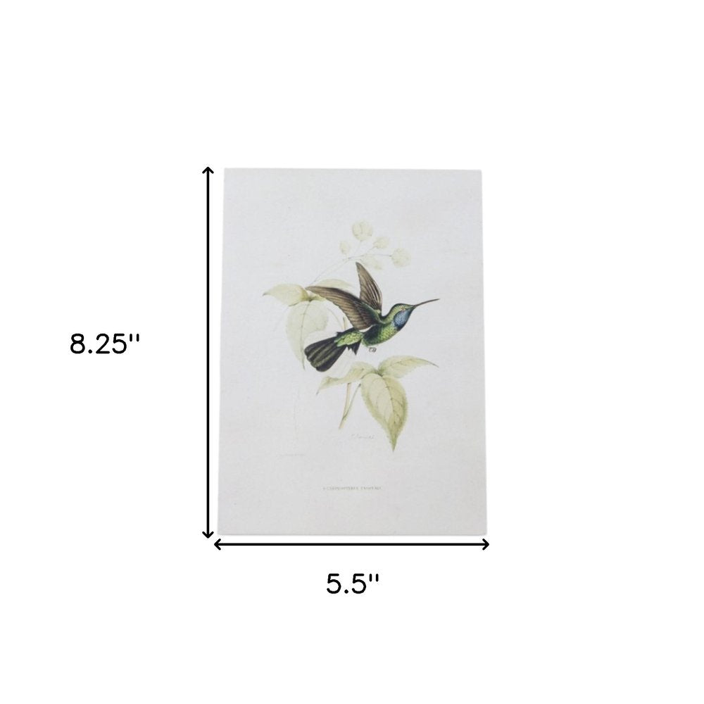 Set of Four White Hummingbird Wood Framed Art