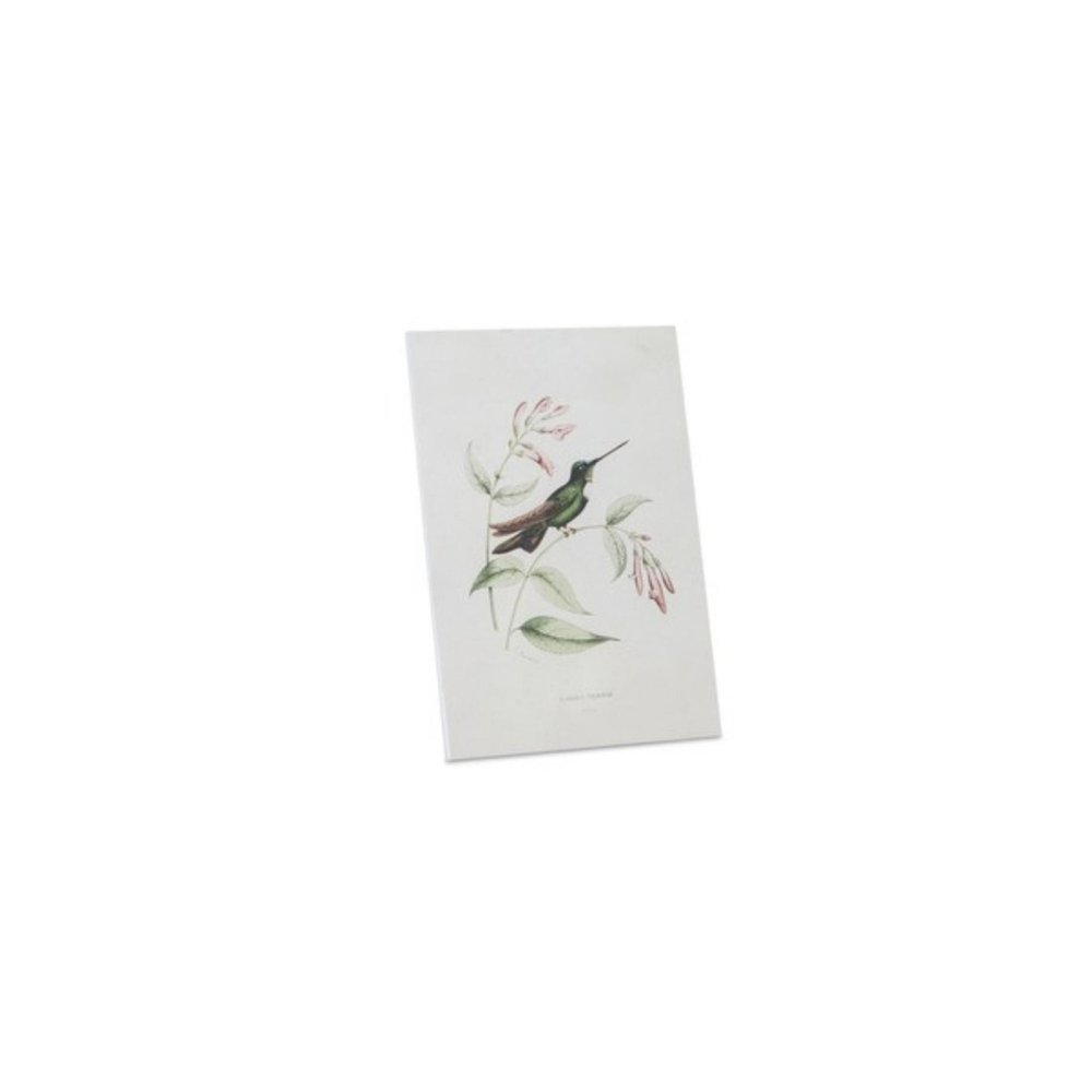 Set of Four White Hummingbird Wood Framed Art