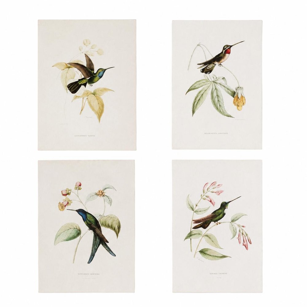 Set of Four White Hummingbird Wood Framed Art