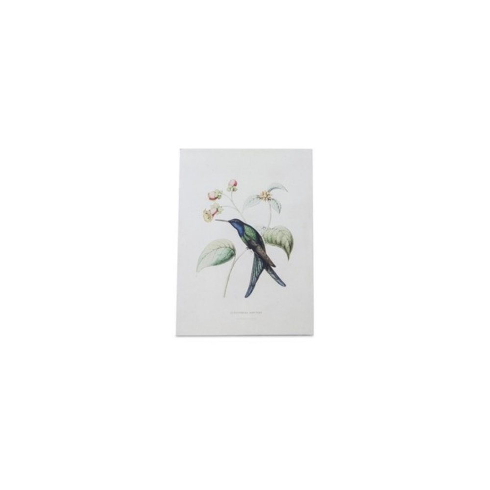Set of Four White Hummingbird Wood Framed Art