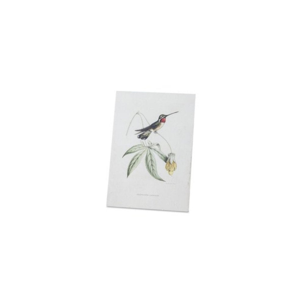 Set of Four White Hummingbird Wood Framed Art