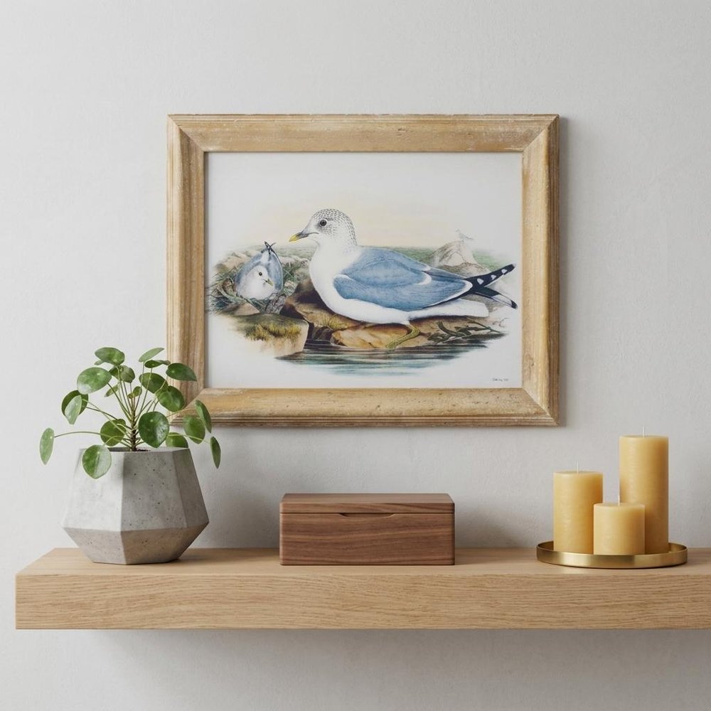 13" X 17" Natural And Blue Bird Solid Wood Framed Art