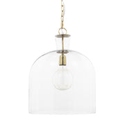 Clear Single Glass Dimmable Ceiling Light With Clear Shades