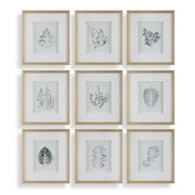 Nature's - Script Framed Botanical Prints (Set of 9) - Gold / Green / White