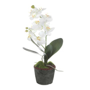 Laris - Orchid Drop-In - White