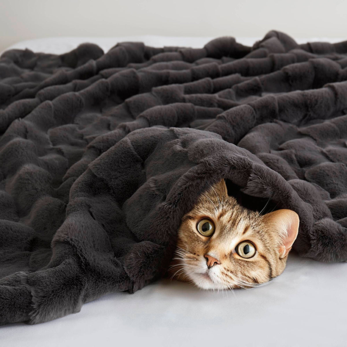 Vivienne - Faux Fur Throw - Gray