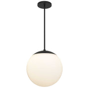 Black And White Frosted LED Dimmable Outdoor Hanging Light With Black Shades