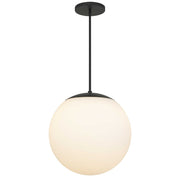Black And White Frosted LED Dimmable Outdoor Hanging Light With Black Shades