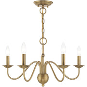 Five Light Dimmable Chandelier With Shades