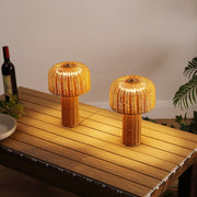 Set of Two 10" Clear USB Table Lamps With Globe Shades