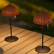 Set of Two 13" Black Novelty USB Table Lamps With Globe Shades