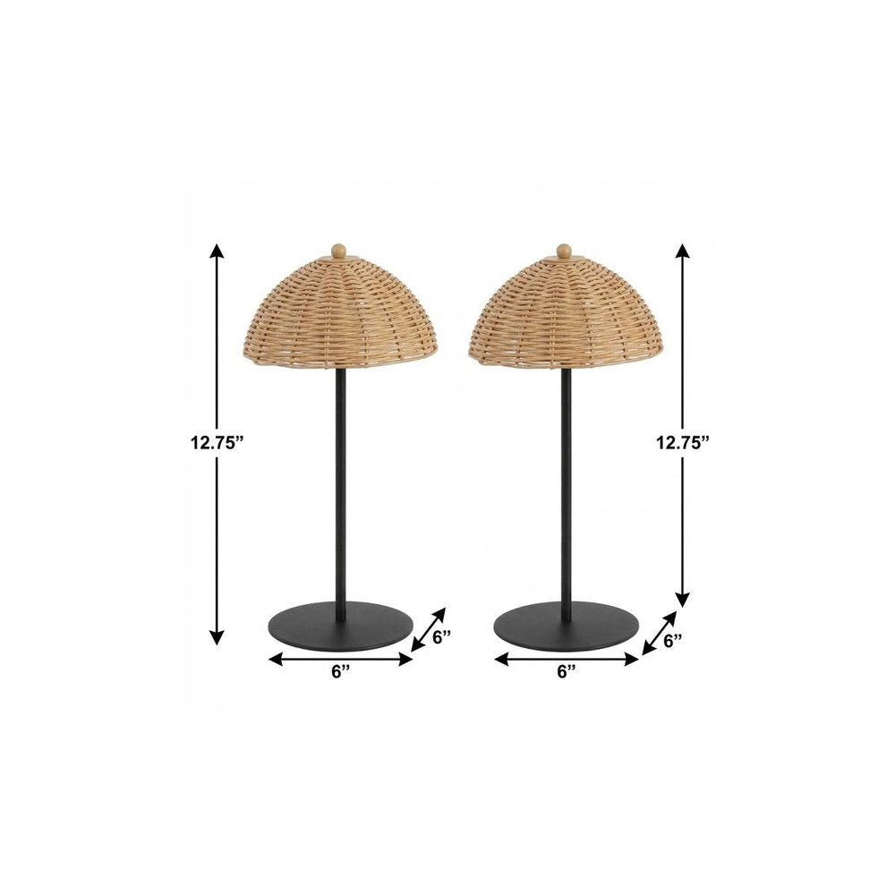 Set of Two 13" Black Novelty USB Table Lamps With Globe Shades