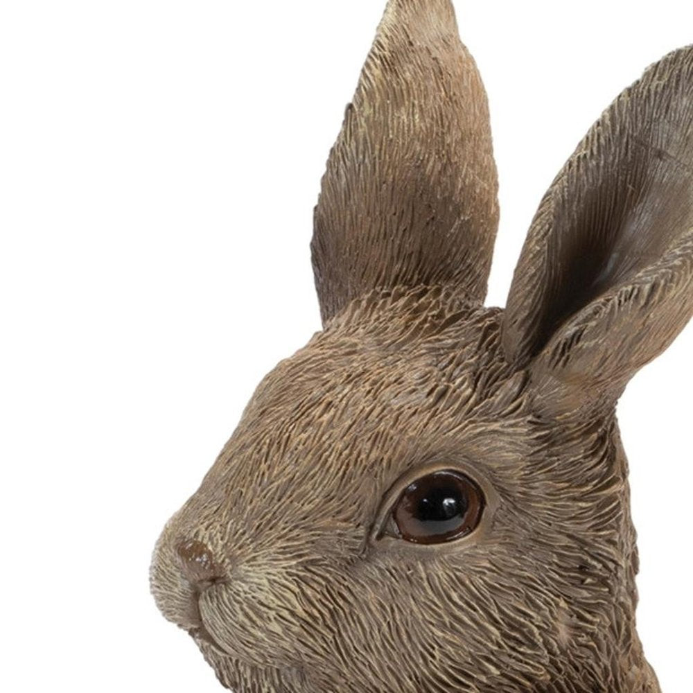 Set of Two Brown Resin Bunny Outdoor Statues