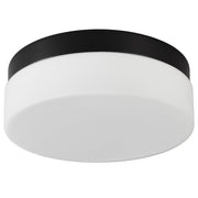 Commercial Ceiling Light