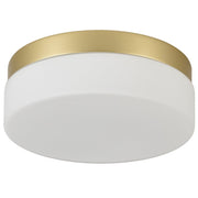 Commercial Ceiling Light