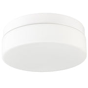 Commercial Ceiling Light
