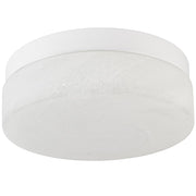 Commercial Ceiling Light