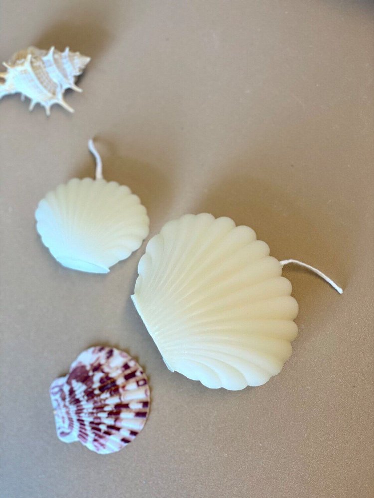 3" Ivory Black Ice Scented Dimensional Seashell Candle