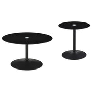 Turpin - 2 Piece Coffee Table Set - Black