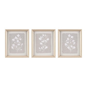 Fair Florets - Printed Framed Graphic (Set of 3) - Beige