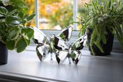 Butterfly Silver