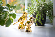 Birds Gold