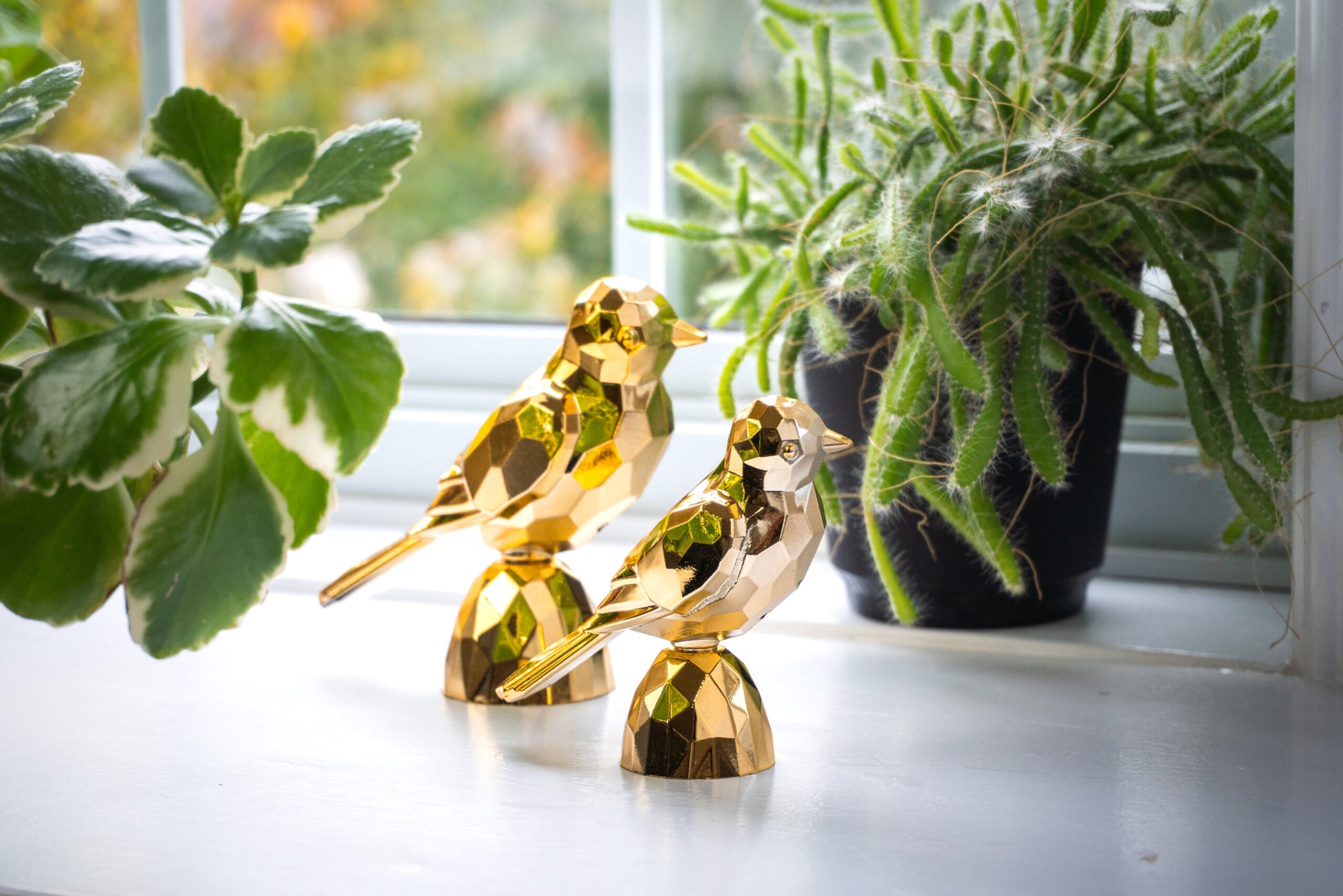 Birds Gold