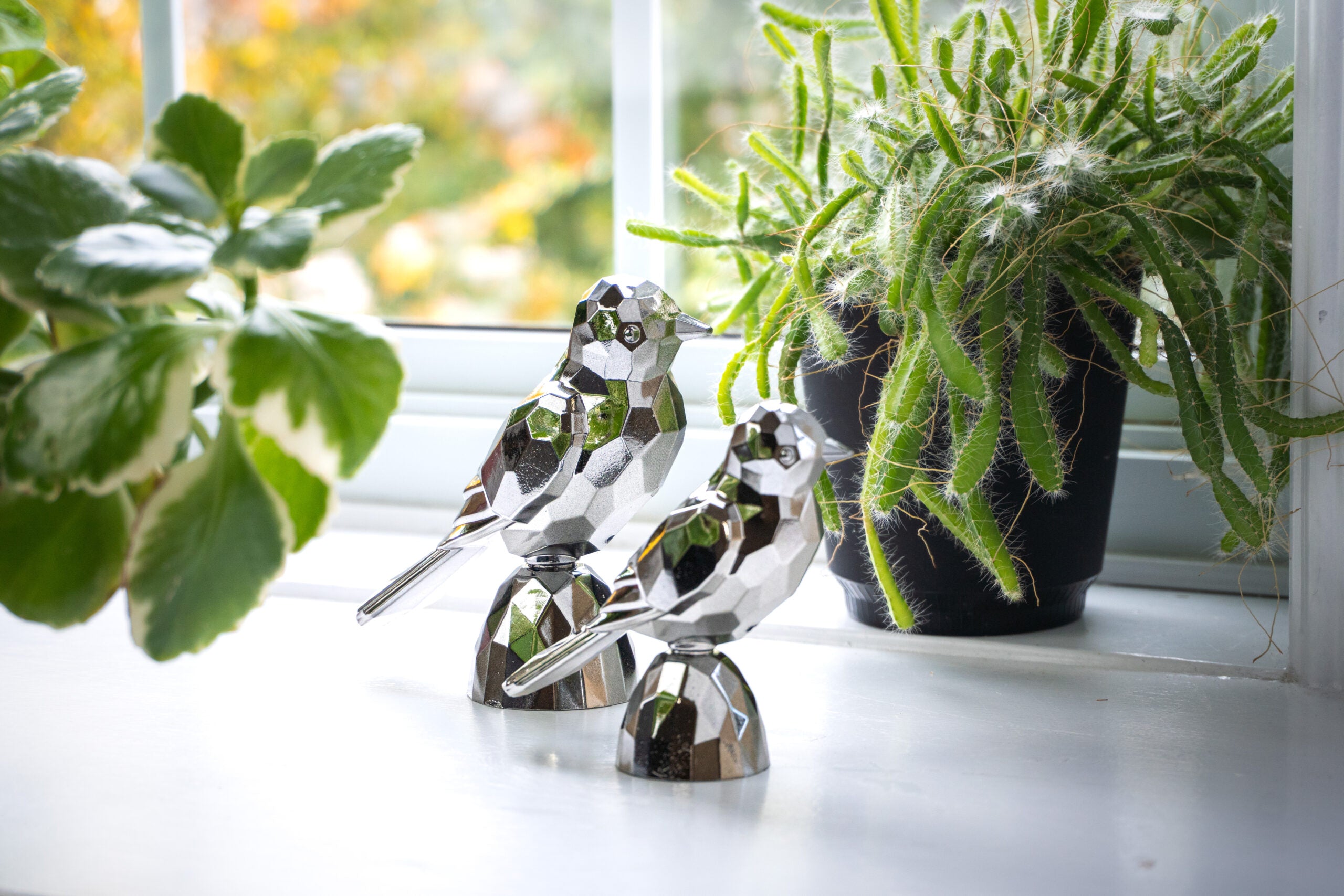 Birds Silver