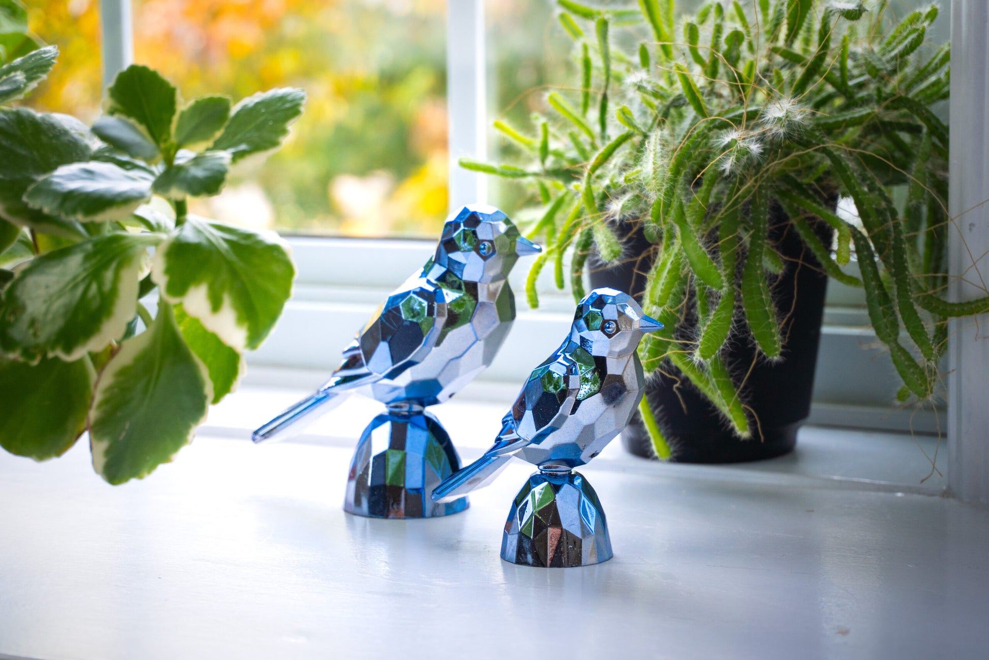 Birds Blue