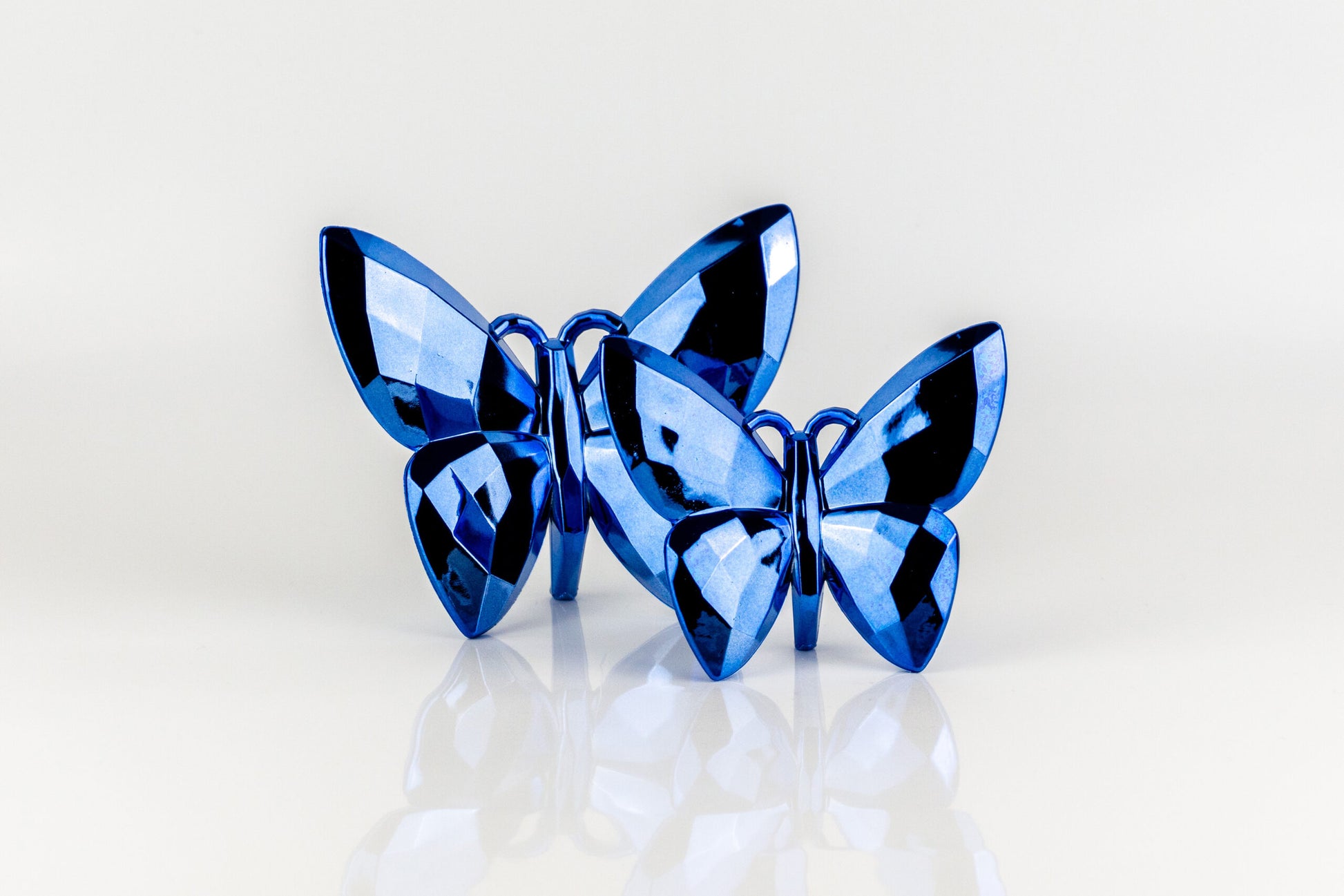 Butterfly Blue