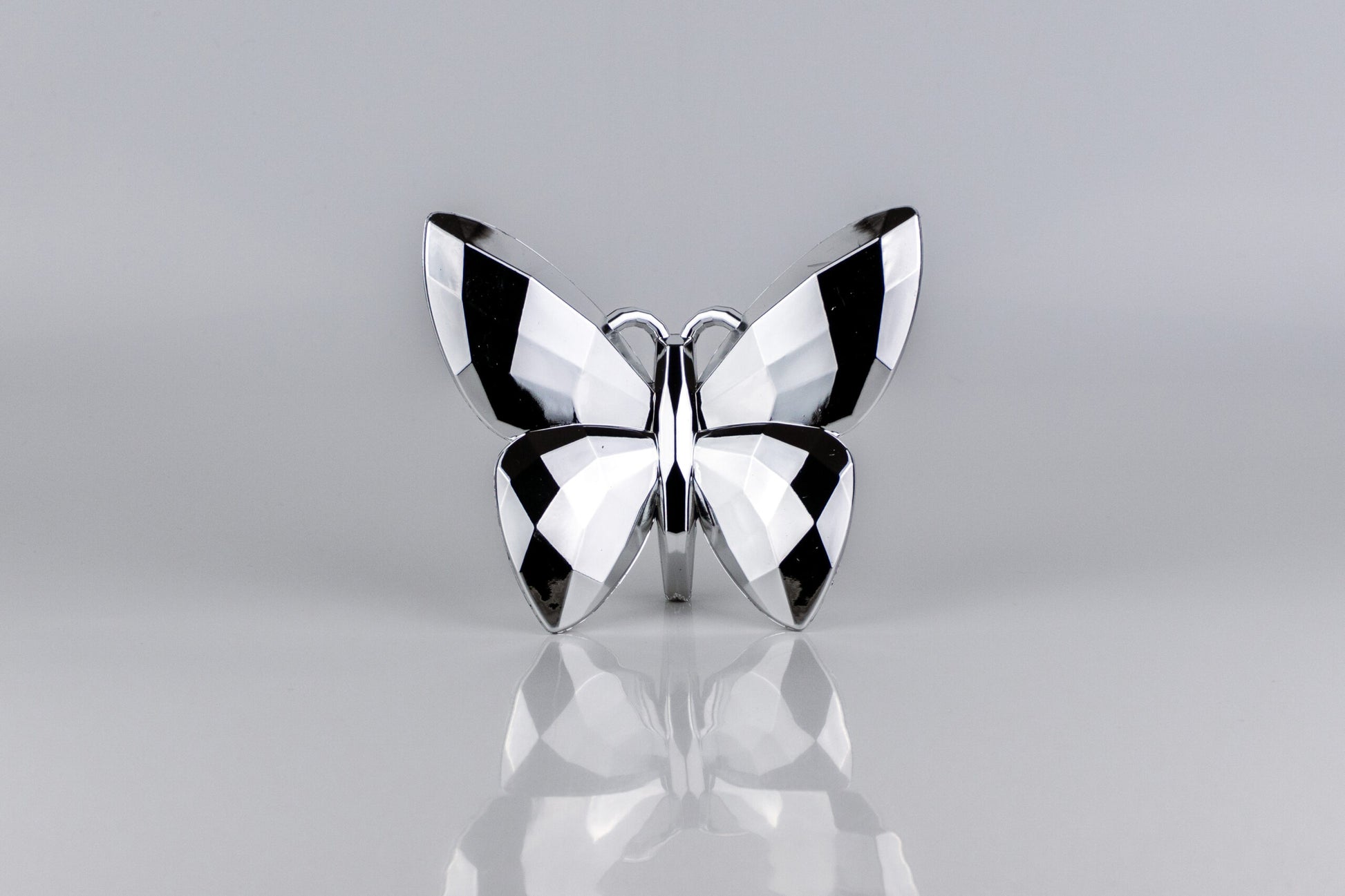 Butterfly Silver