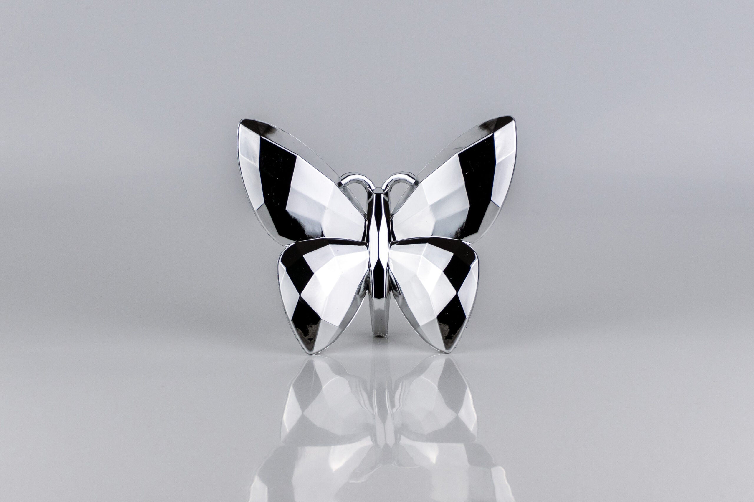 Butterfly Silver